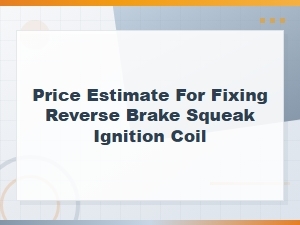 Ignition Coil Repair Cost Estimate for Reverse Brake Squeak Fix